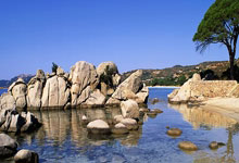 28圈娱乐-包含赛地聚焦：社区盾窗口期热度飙升，斯图加特复出首秀，目标明确，官宣口径保持一致的词条